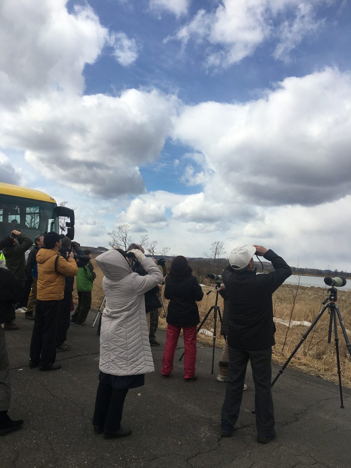 「川のルート」野鳥観察ツアーに参加しました！！